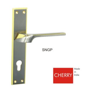 CHERRY-SNGP