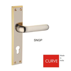 CURVE-SNGP