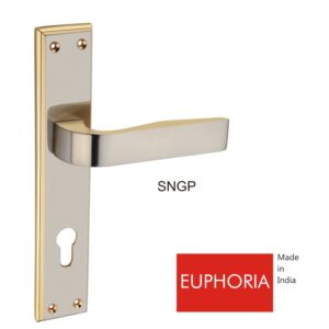 EUPHORIA-SNGP