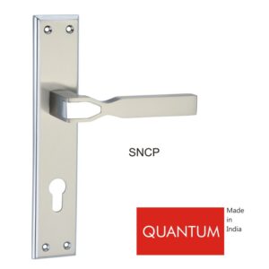 QUANTUM-SNCP