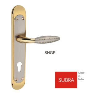 SUBRA-SNGP